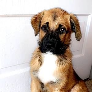 Meet your Posher, Irma